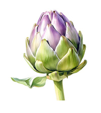 Artichoke